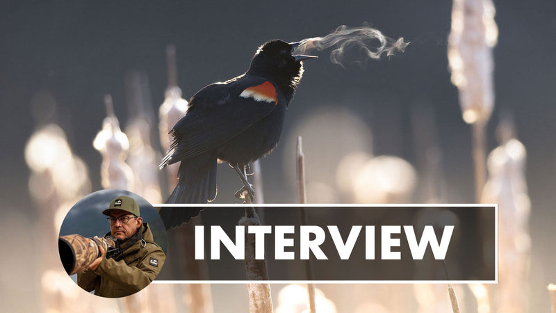 Interview mit Wildlife-Fotograf Simon D'Entremont